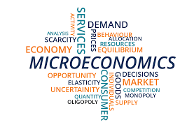 Chapter 1: Microeconomic Theory